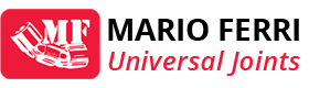 Mario Ferri - Universal Joints